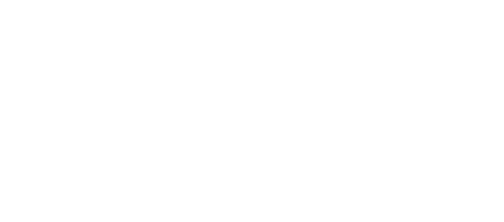 Ridl-E - The AI Riddle Bot